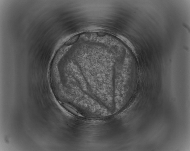 X0000092041429200710100949