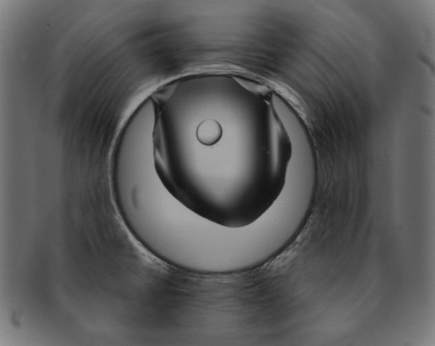 X0000092041430200710100949