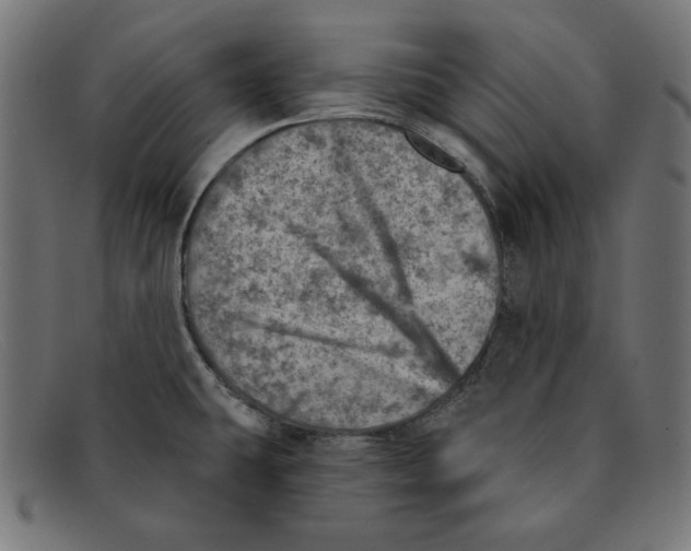 X0000092041431200710100949