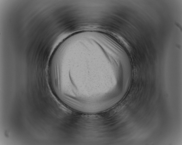 X0000092041432200710100949