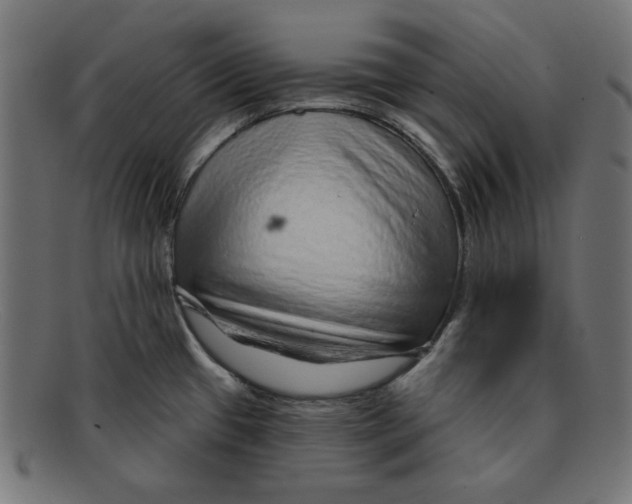 X0000092041433200710100949