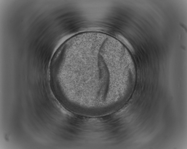 X0000092041436200710100949