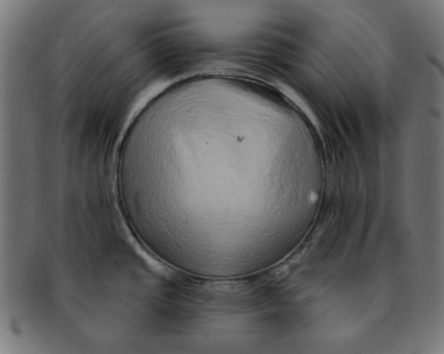 X0000092041437200710100949