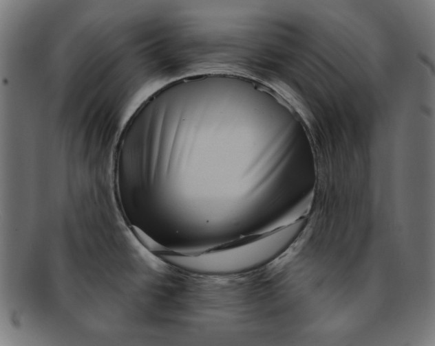 X0000092041438200710100949