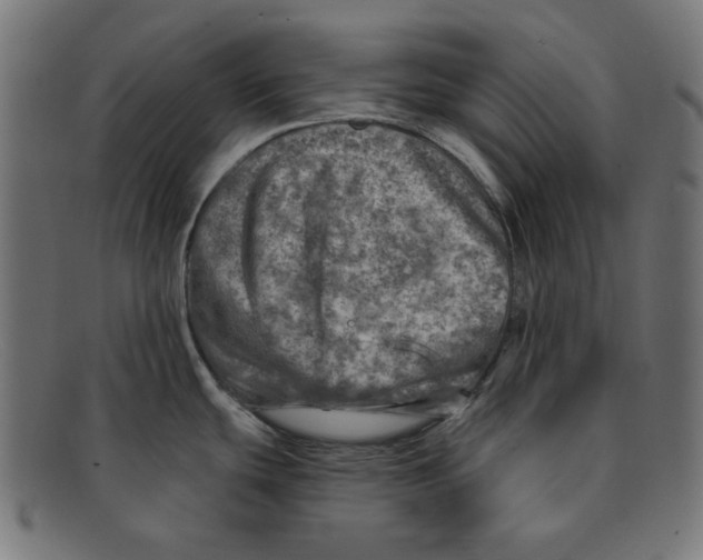 X0000092041439200710100949