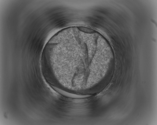 X0000092041440200710100949