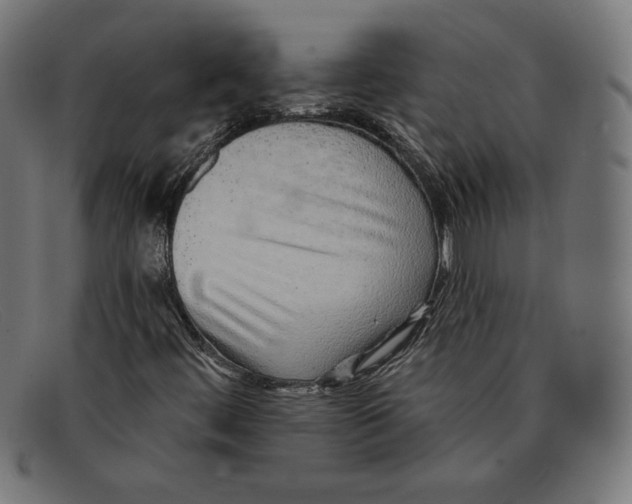 X0000092041444200710100949