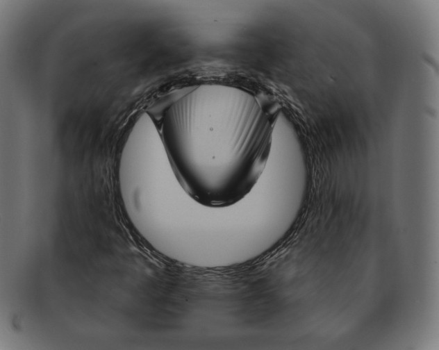 X0000092041445200710100949