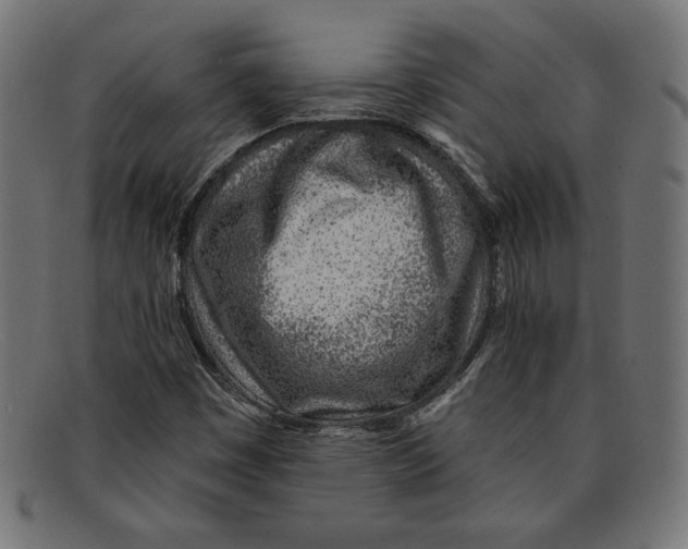 X0000092041449200710100949