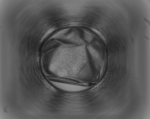 X0000092041450200710100949