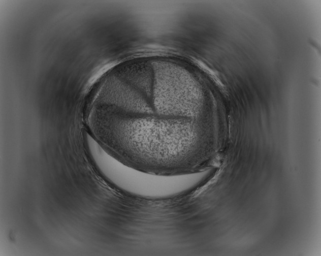 X0000092041453200710100949