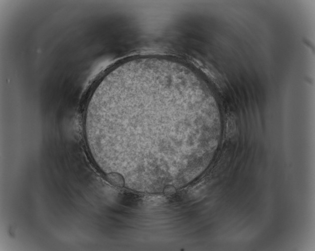 X0000092041454200710100949