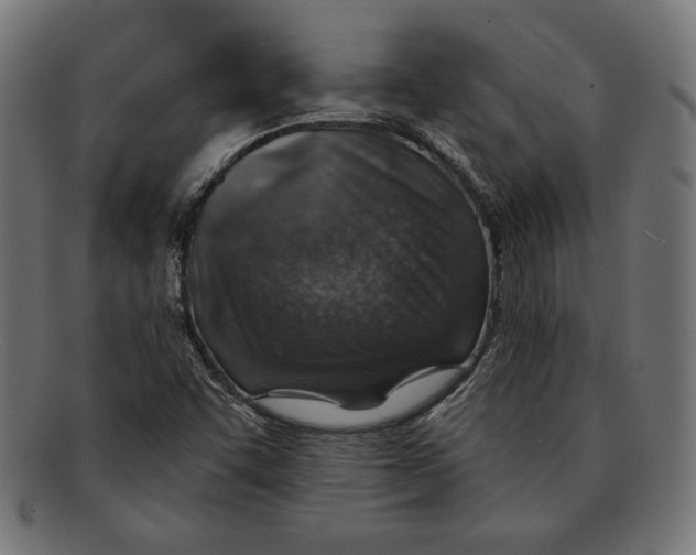 X0000092041455200710100949