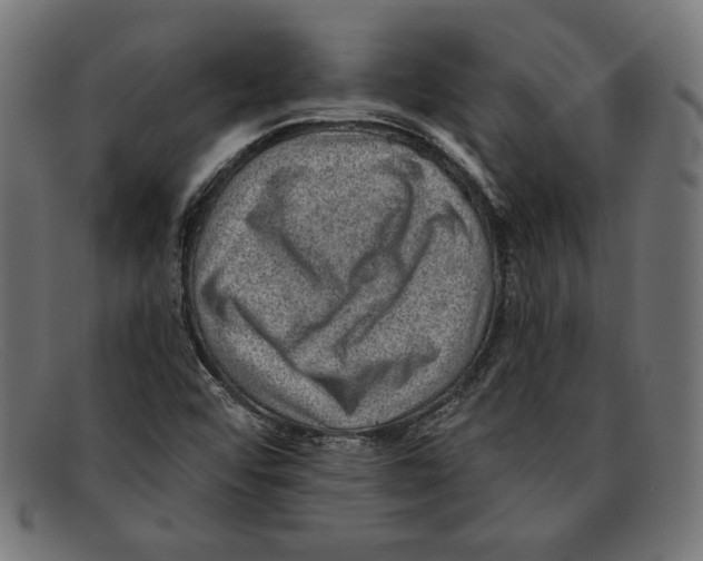 X0000092041456200710100949