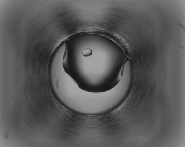 X0000092041457200710100949