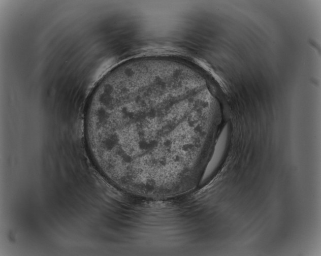 X0000092041459200710100949