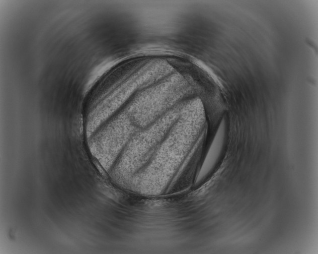 X0000092041461200710100949