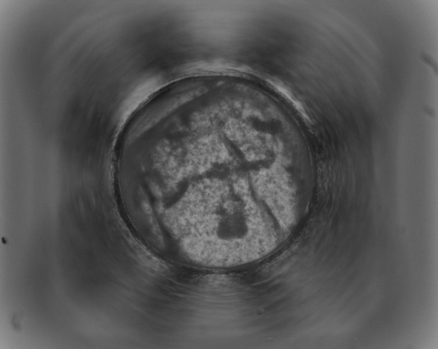 X0000092041463200710100949