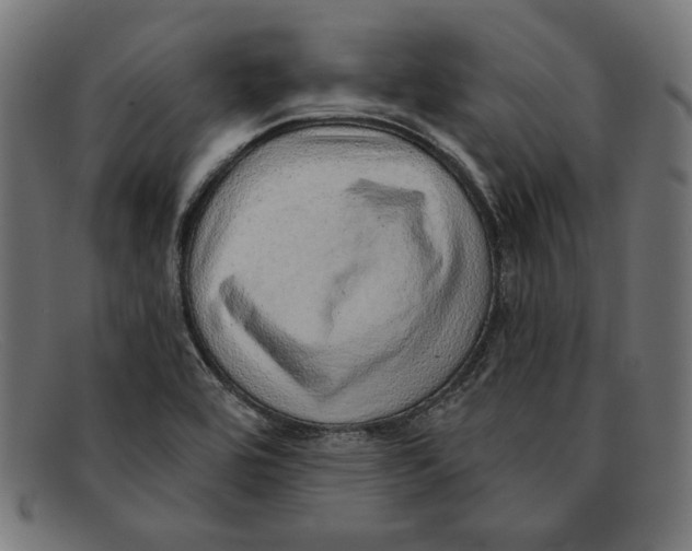 X0000092041464200710100949