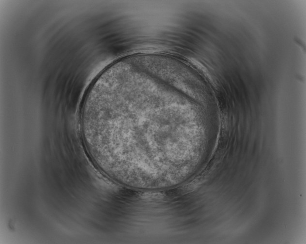 X0000092041466200710100948