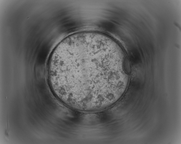 X0000092041467200710100948