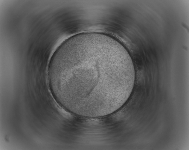 X0000092041470200710100948