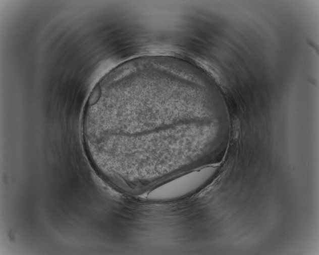 X0000092041471200710100948