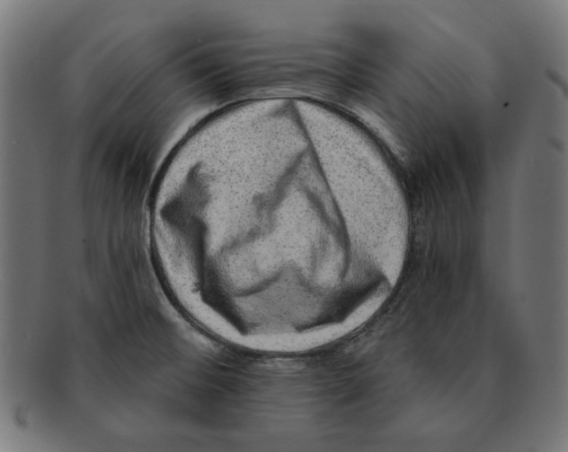 X0000092041476200710100948