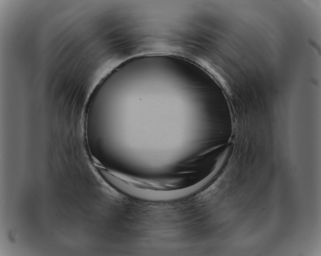 X0000092041477200710100948