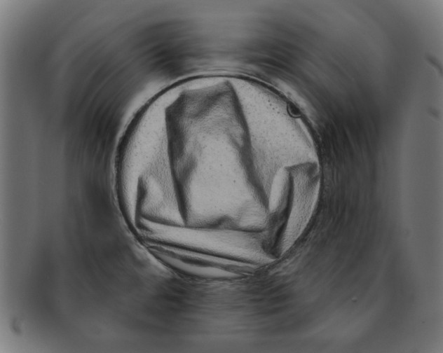 X0000092041480200710100948