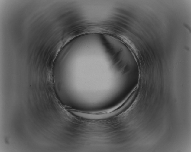 X0000092041481200710100948