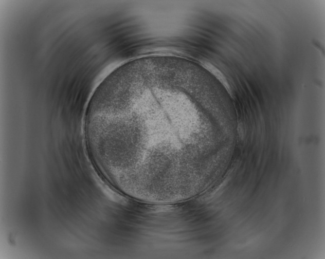 X0000092041482200710100948