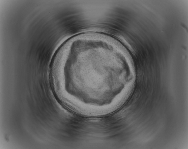 X0000092041484200710100948