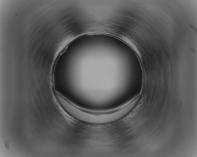 X0000092041485200710100948