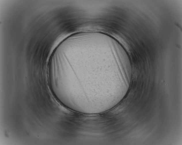 X0000092041486200710100948