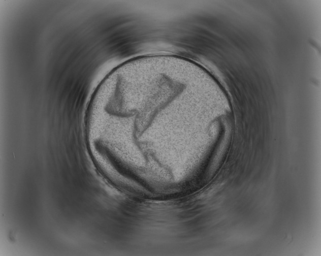 X0000092041488200710100948