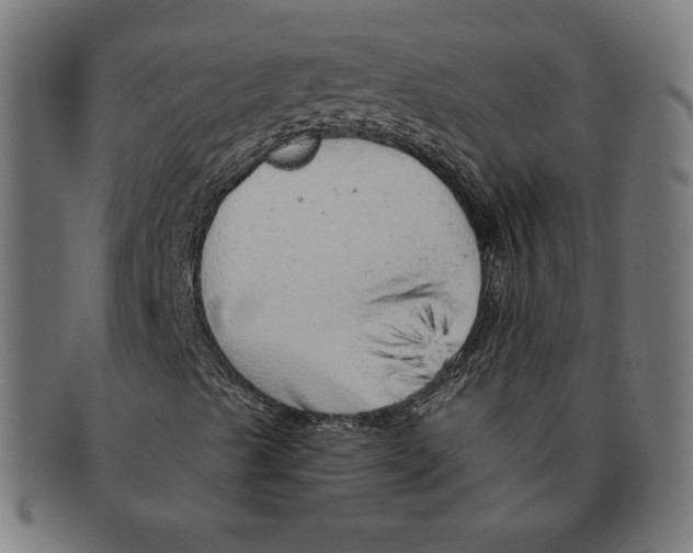 X0000092041489200710100948