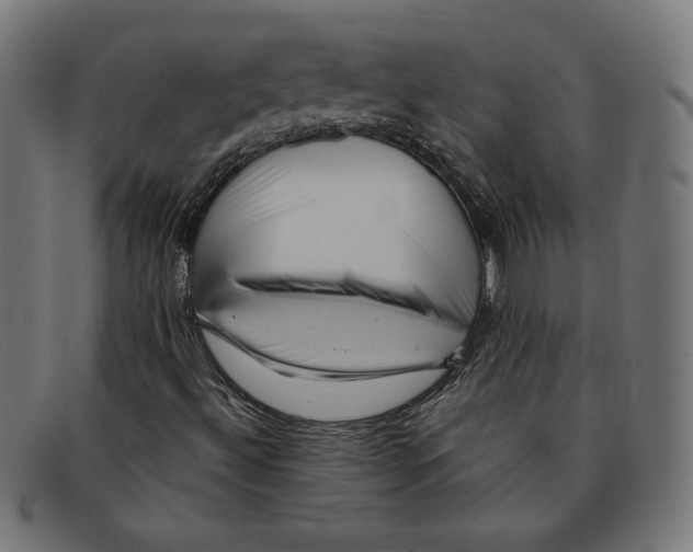 X0000092041492200710100948