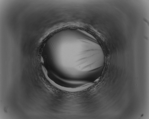 X0000092041496200710100948