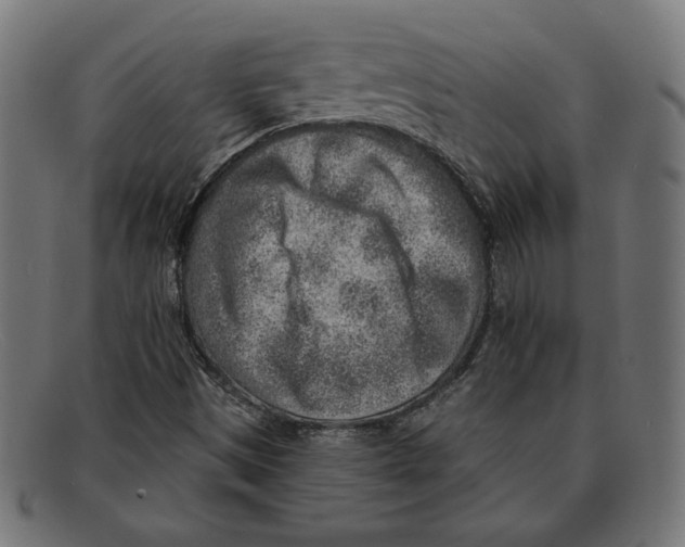 X0000092041497200710100948