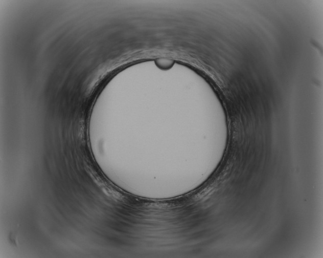 X0000092041499200710100948