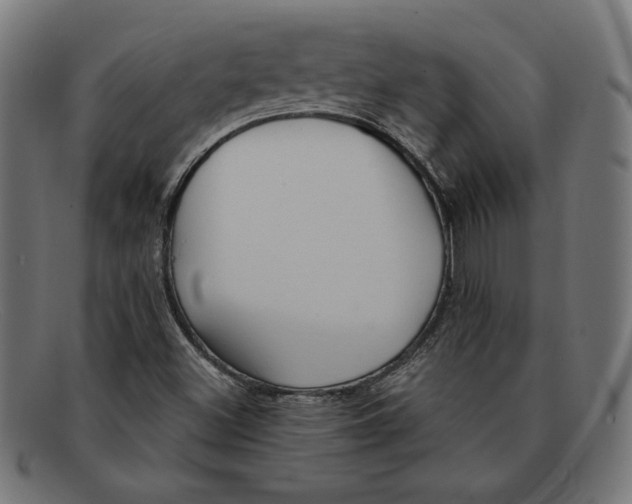 X0000092041500200710100948