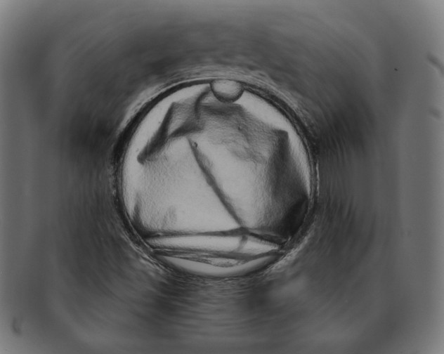 X0000092041501200710100948