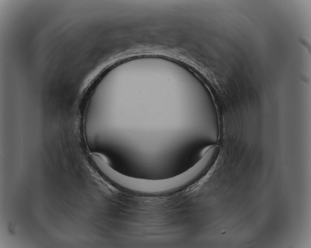 X0000092041502200710100948