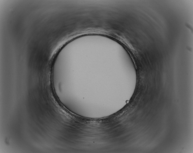 X0000092041504200710100948