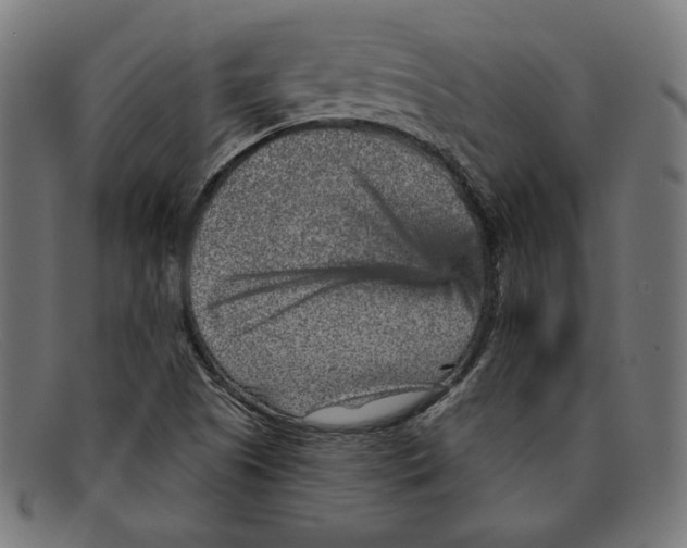 X0000092041505200710100948