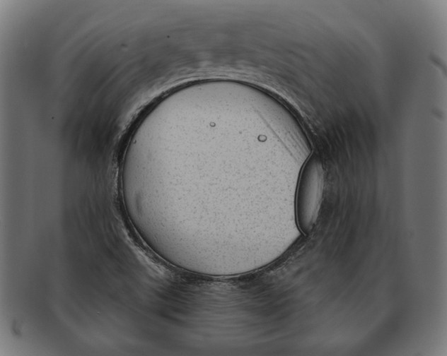 X0000092041507200710100948