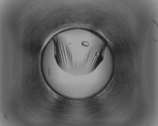 X0000092041508200710100948