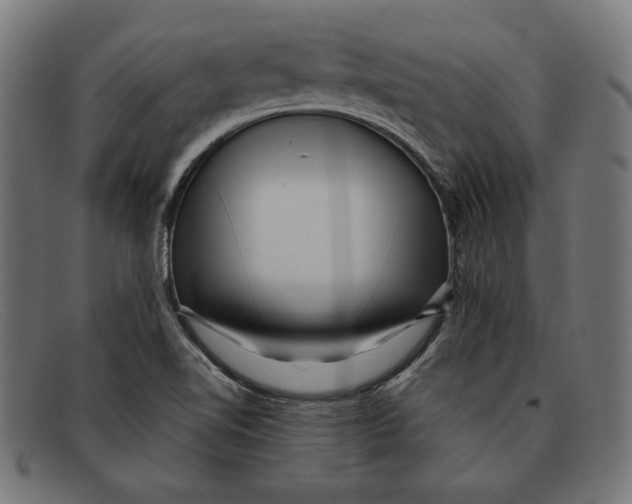 X0000092041510200710100948