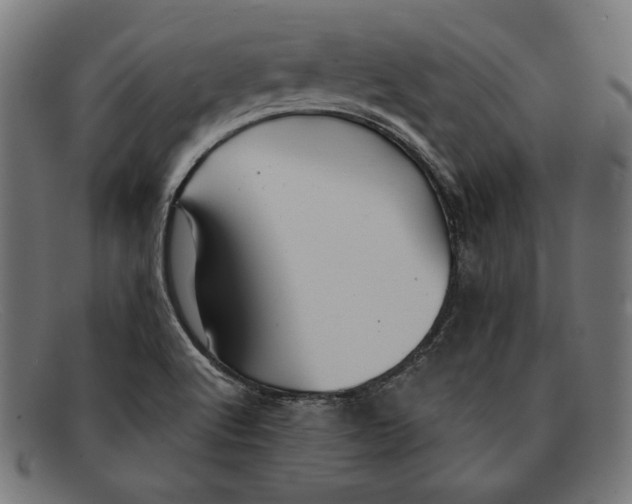 X0000092041512200710100948